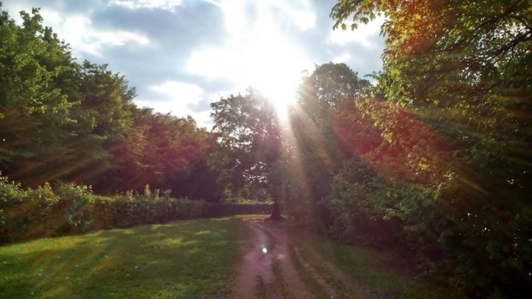 Andreja Tasič: Negotovost nas povsem razgali